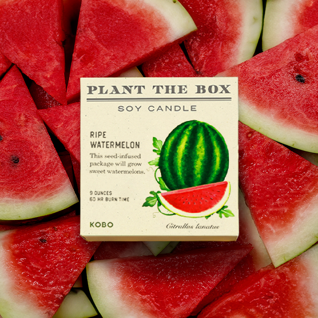 Vibrant watermelon slices surround a plantable soy candle packaging featuring a ripe watermelon illustration, emphasizing natural scents and eco-friendly plantable boxes.