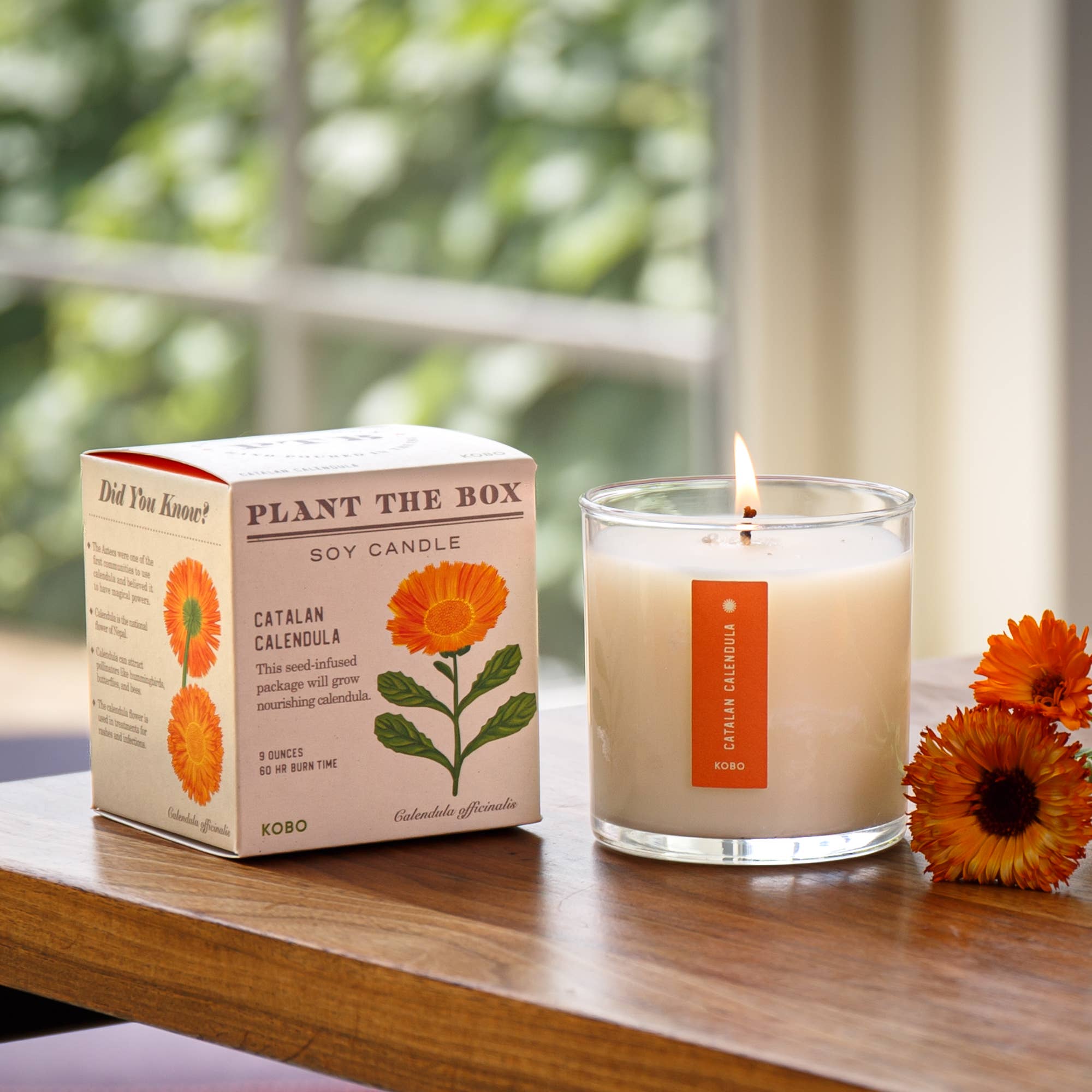 CATALAN CALENDULA 9oz