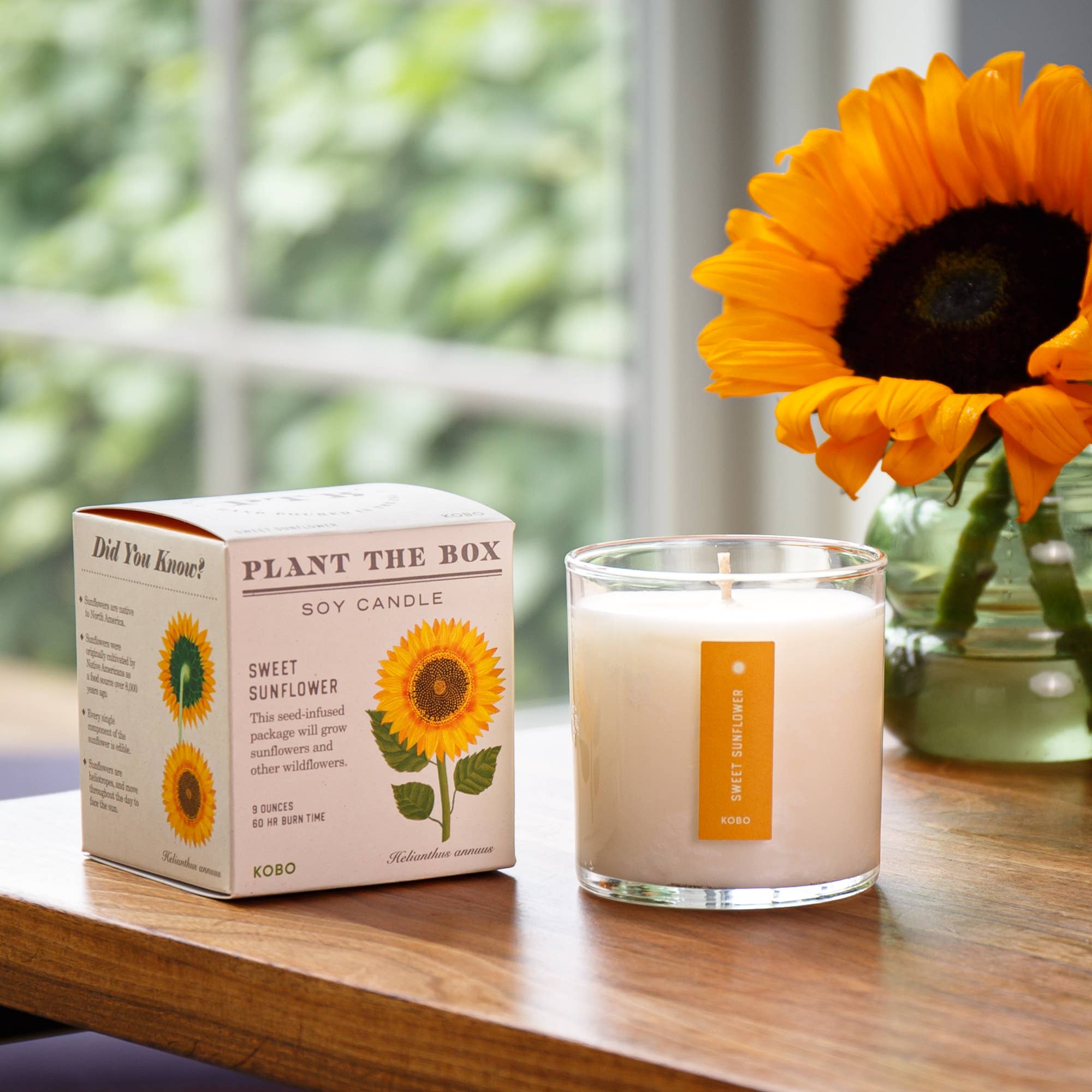 SWEET SUNFLOWER 9oz