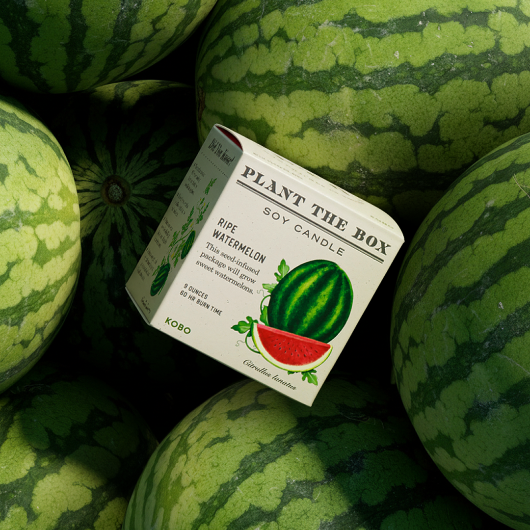 RIPE WATERMELON CANDLE