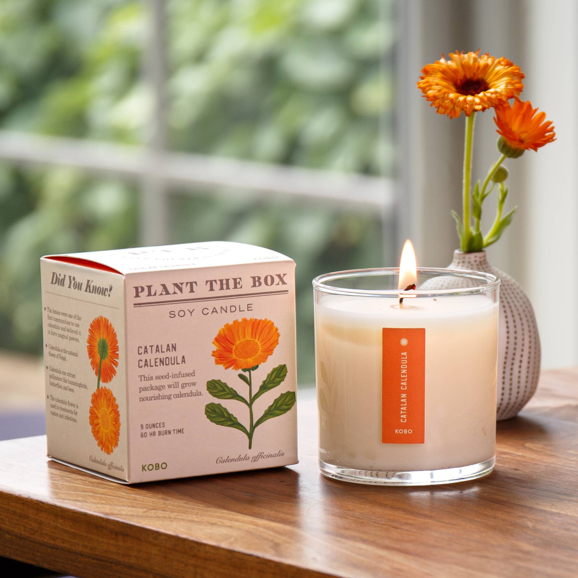 CATALAN CALENDULA 9oz