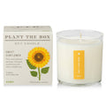 SWEET SUNFLOWER 9oz