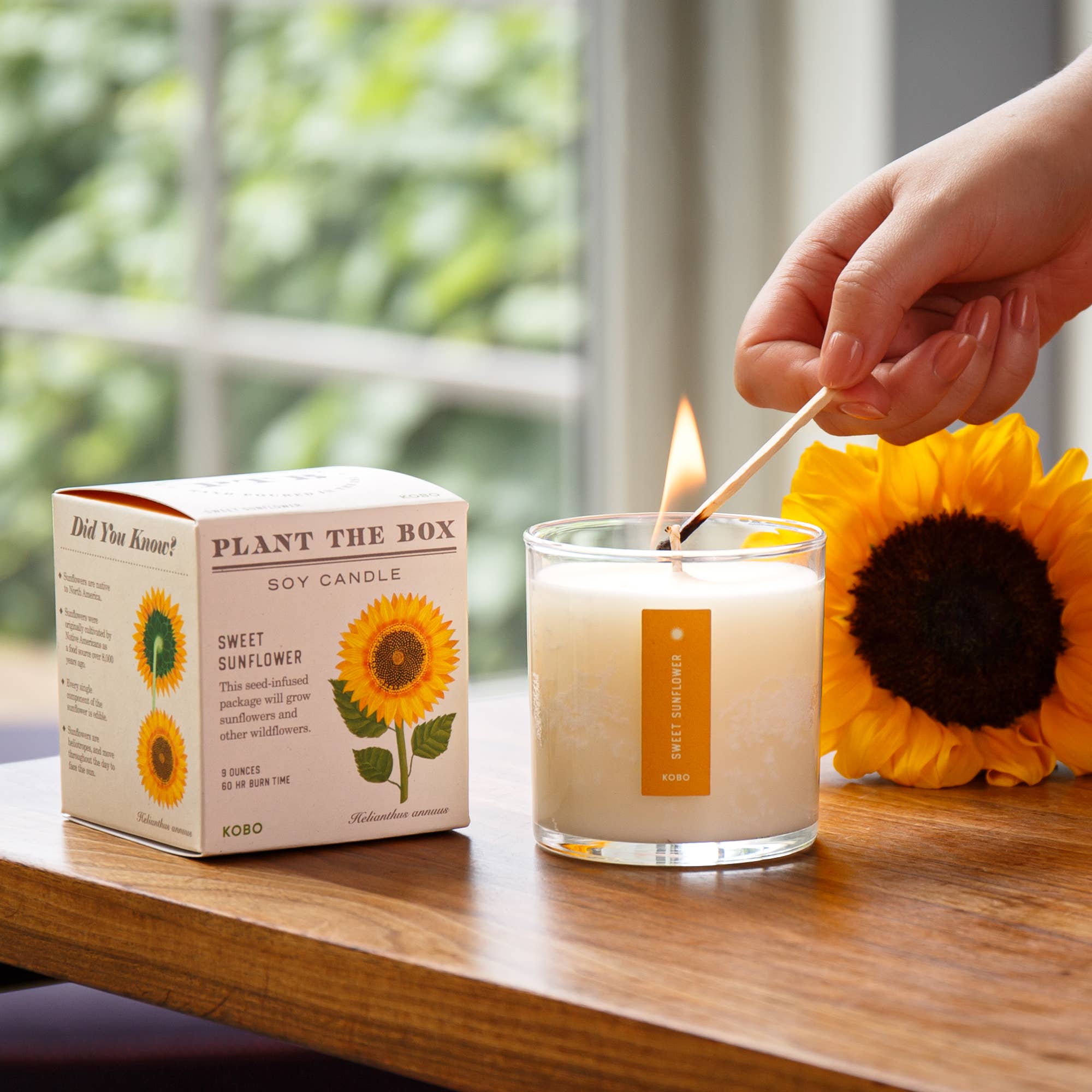 SWEET SUNFLOWER 9oz