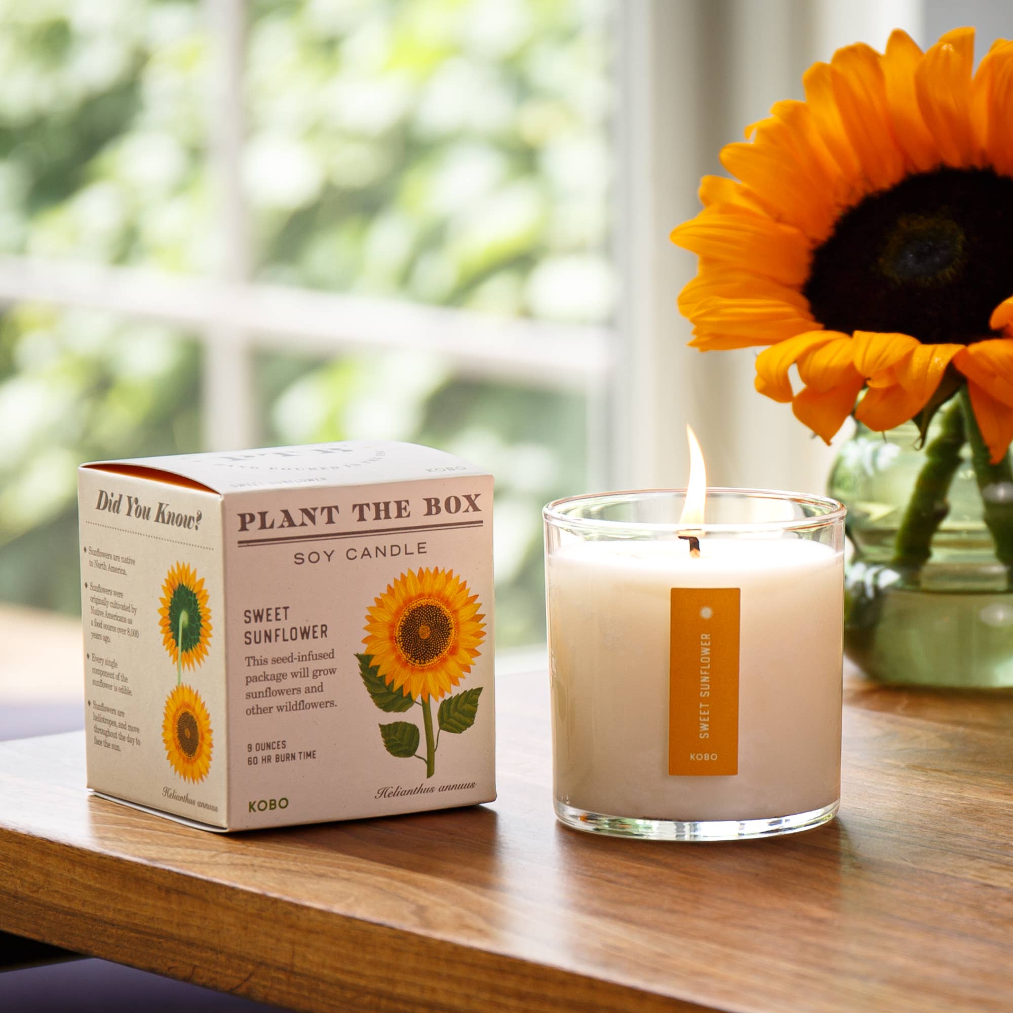 SWEET SUNFLOWER 9oz