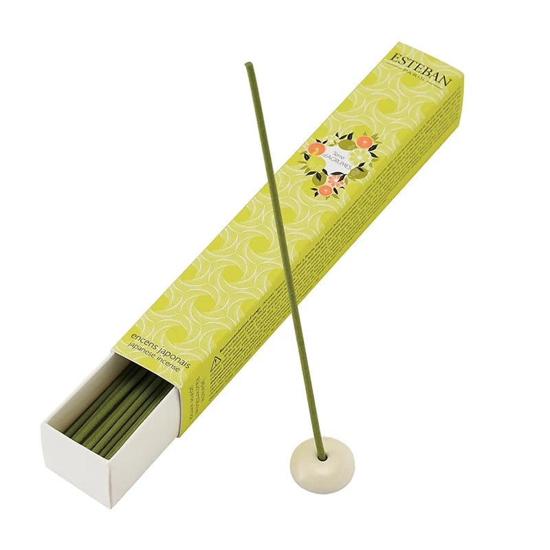 Esteban - Japanese Style Incense Box
