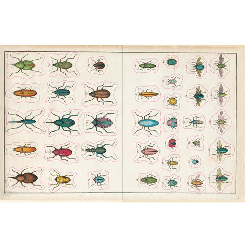 J DERIAN STICKER BOOK
