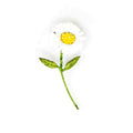 Handcrafted artisan daisy brooch pin with white petals and yellow center, detailed embroidery on a white background