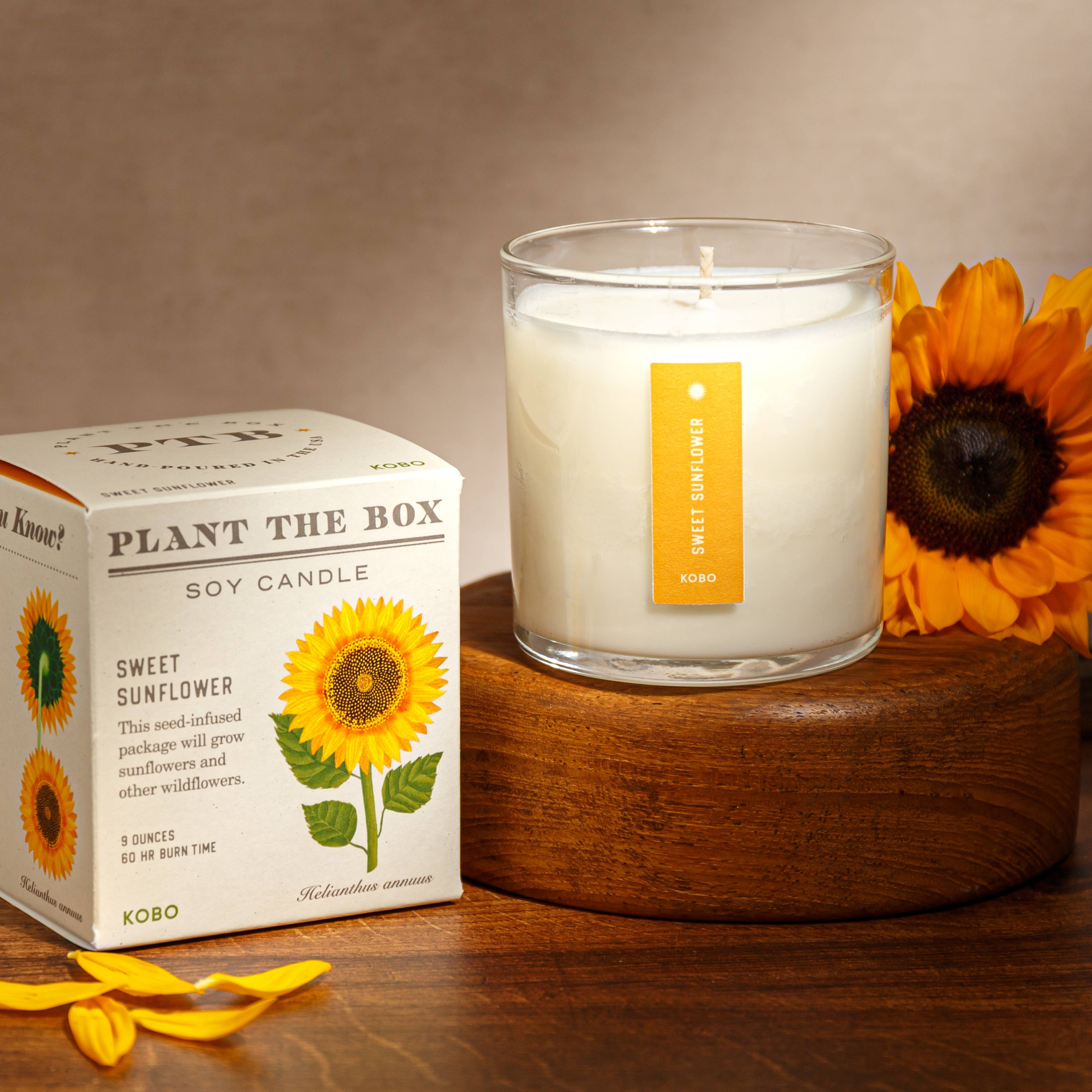 SWEET SUNFLOWER 9oz