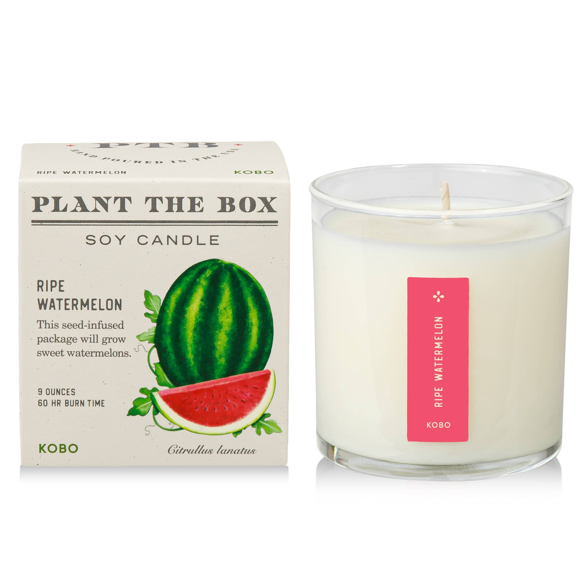 RIPE WATERMELON CANDLE