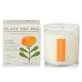 CATALAN CALENDULA 9oz