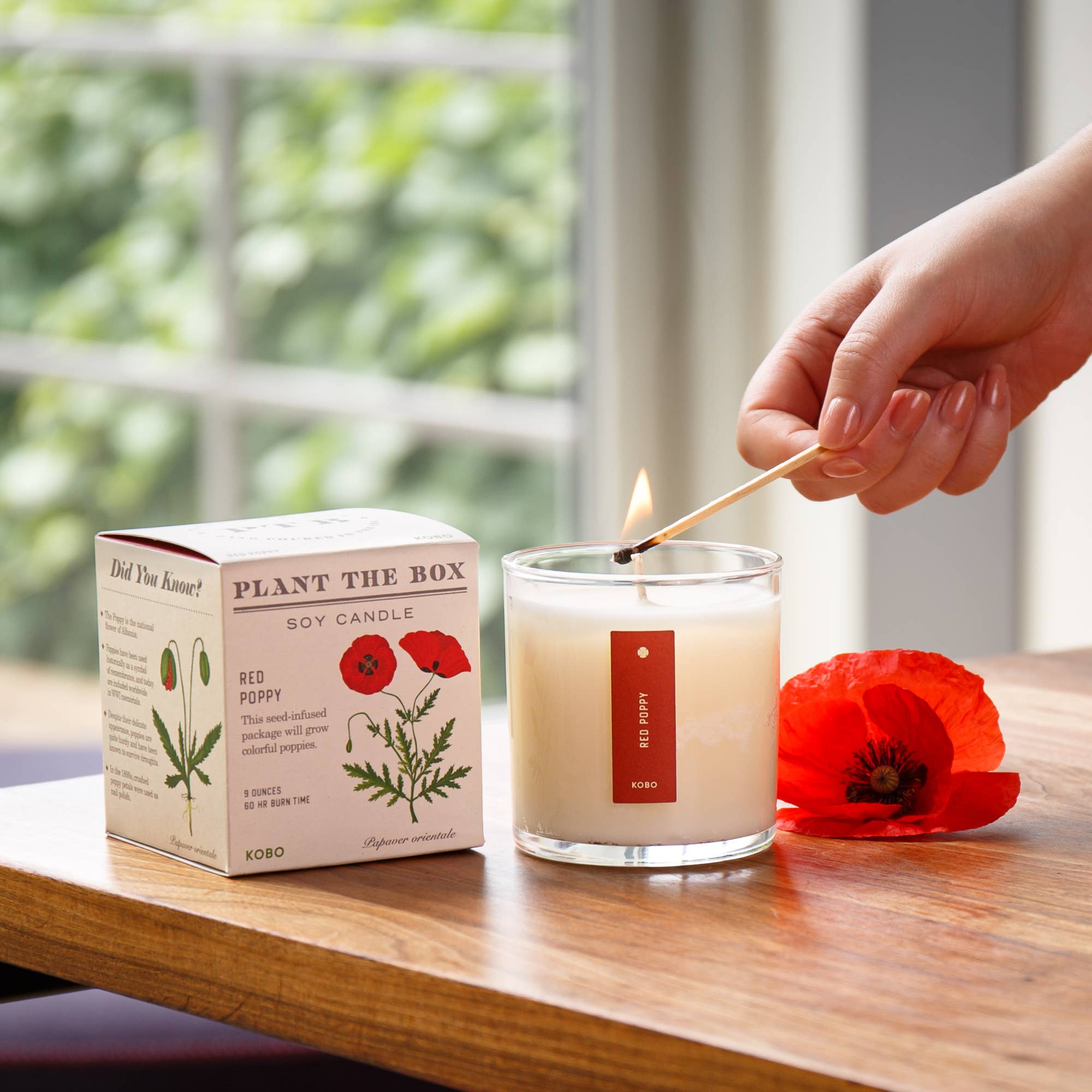 RED POPPY 9oz