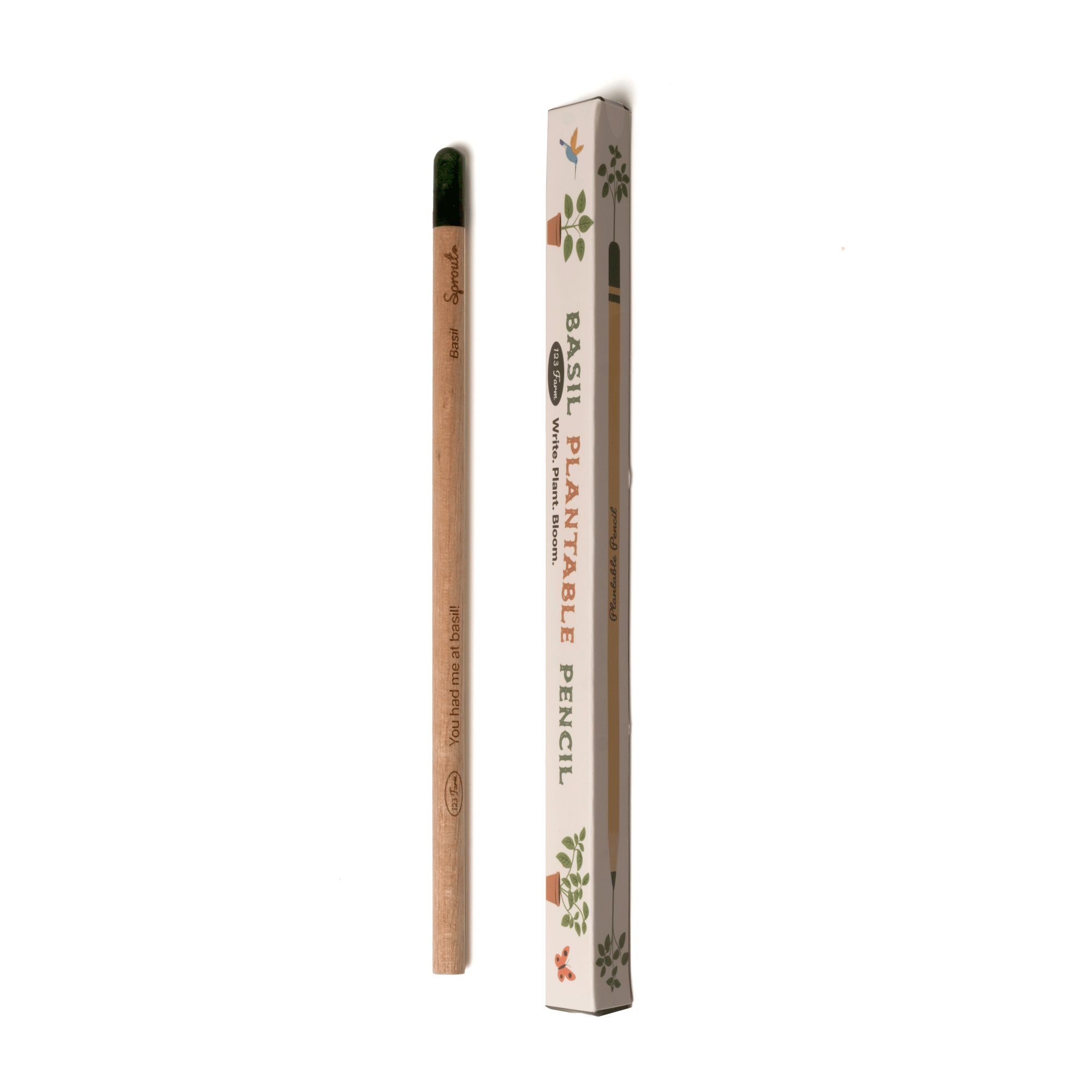BASIL PENCIL