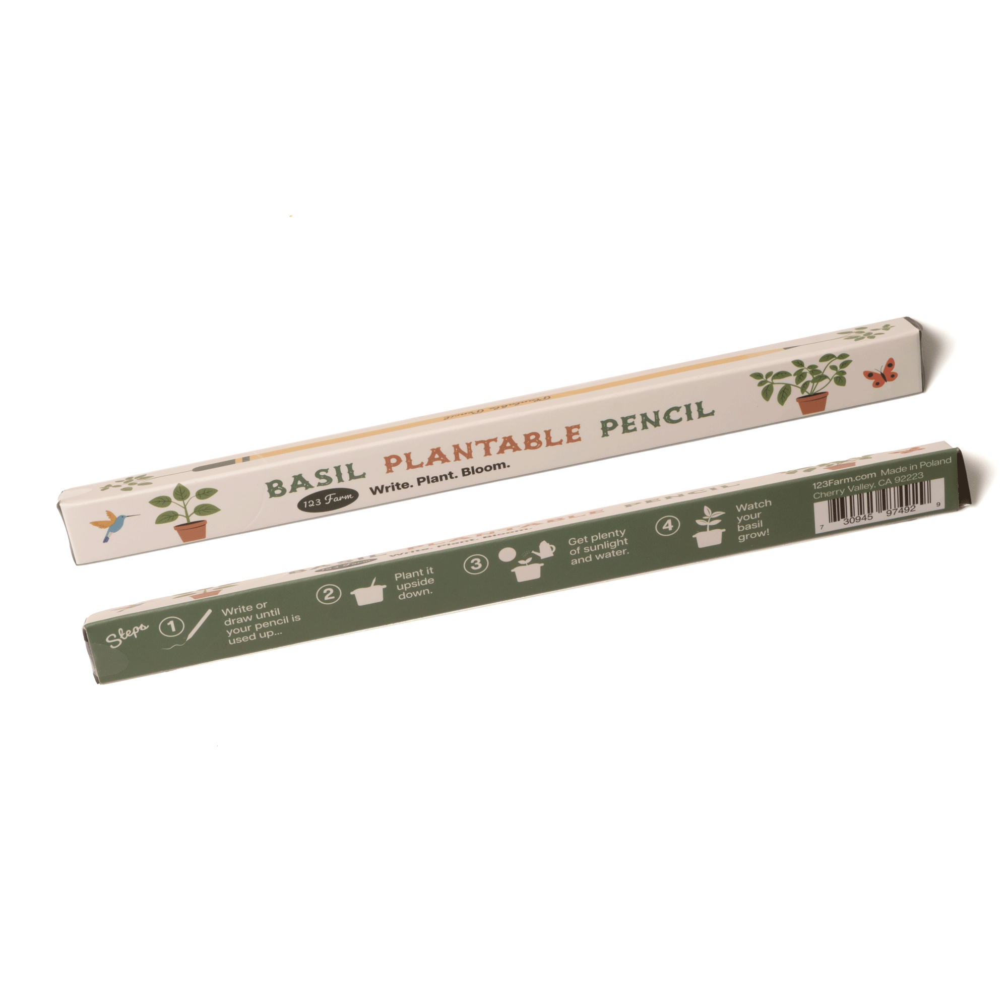 BASIL PENCIL